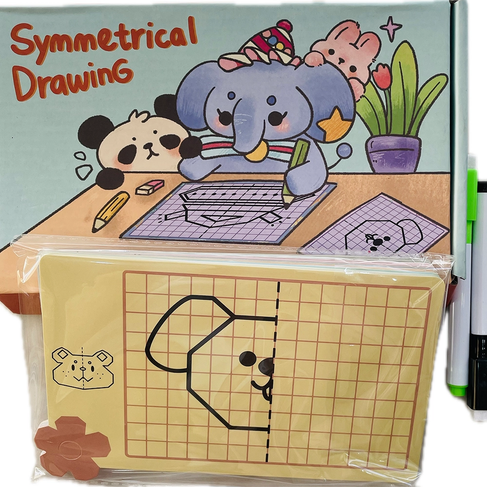 Symmetrical Picture Drawing Book